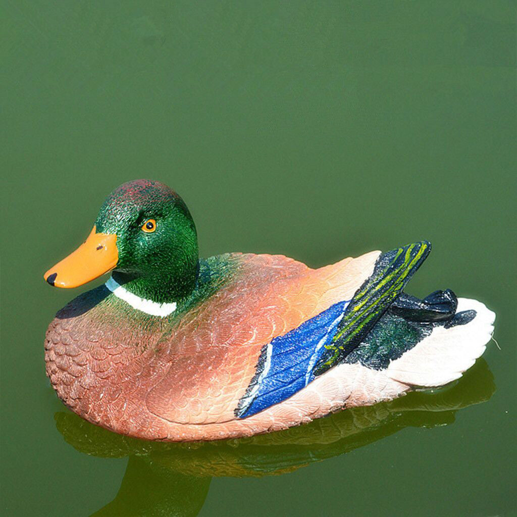 Fish pond decorative floating mandarin ducks - Offbeat Abode and Unique Beats