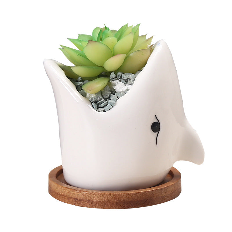 Shark Planter - offbeatabode