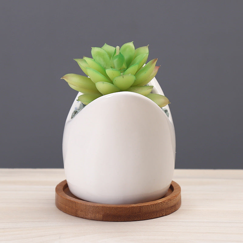 Shark Planter - offbeatabode