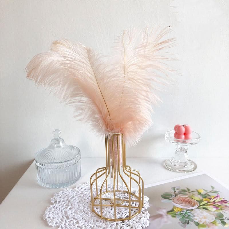 Mixed Pampas - offbeatabode