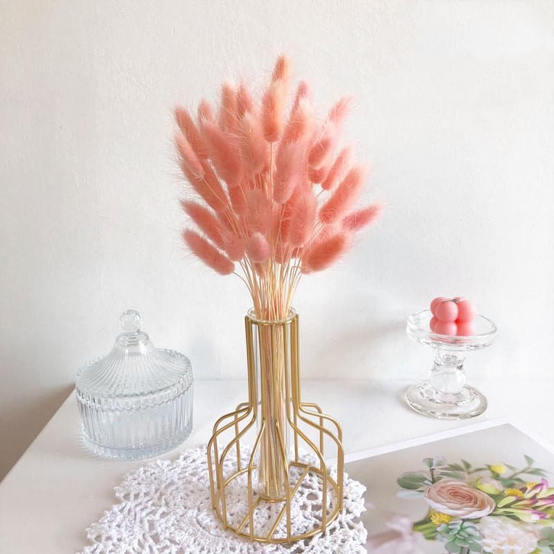 Mixed Pampas - offbeatabode