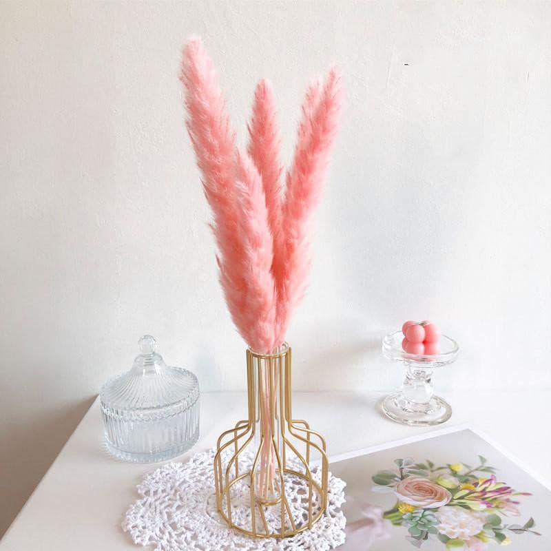 Mixed Pampas - offbeatabode