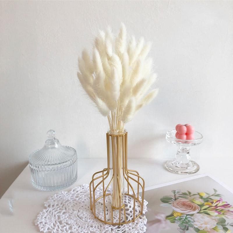 Mixed Pampas - offbeatabode