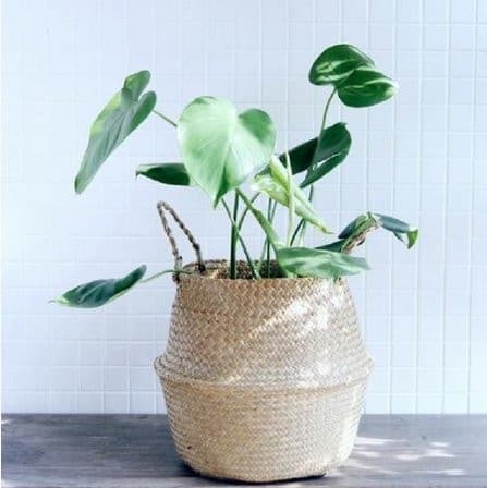 Wicker Planter - offbeatabode
