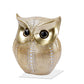 Twit Twoo Owl Golden - offbeatabode
