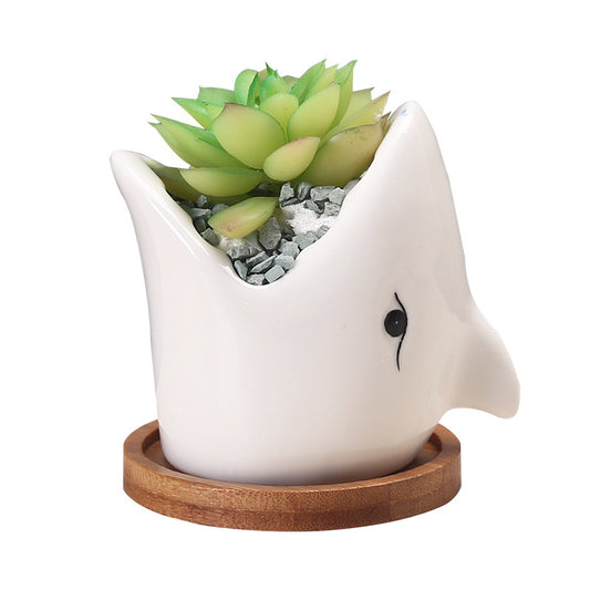 Shark Planter - offbeatabode