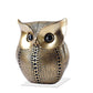 Twit Twoo Owl Golden - offbeatabode