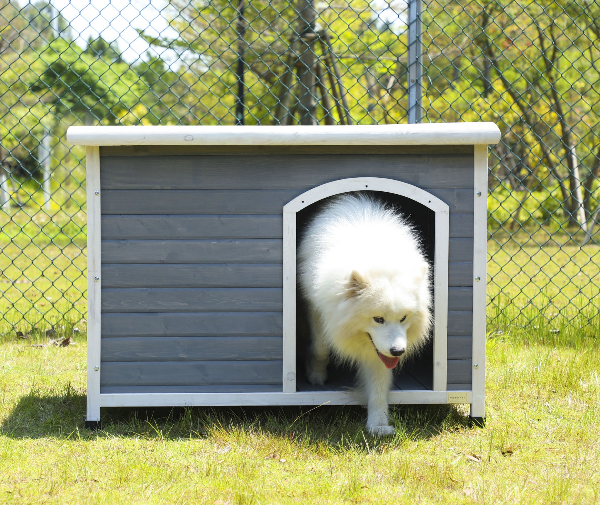 Wooden Dog Houses Weatherproof for Large Dog - Offbeat Abode and Unique Beats