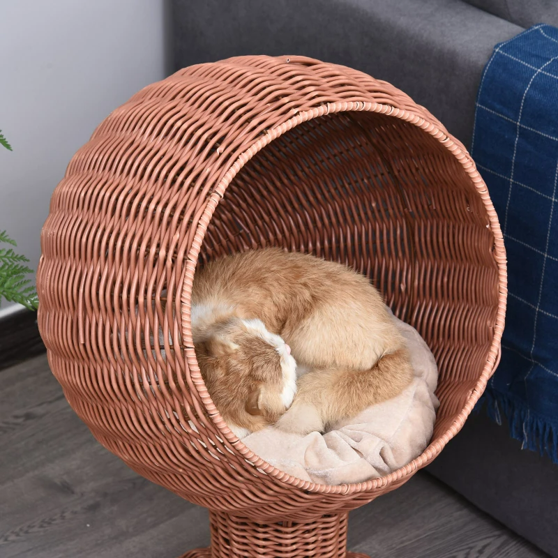 Modern Cat Bed Fancy Design Espresso Color Wicker Lounge - Offbeat Abode and Unique Beats