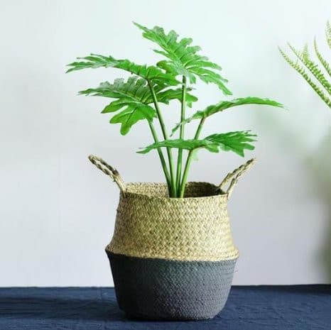 Wicker Planter - offbeatabode